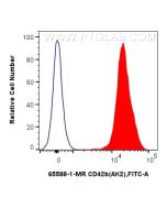 Anti-Human CD42b (AK2) Mouse IgG2a Recombinant Antibody Proteintech  65588-1-MR