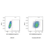 FcZero-rAb? APC Anti-6*His, His-Tag Rabbit Recombinant Antibody Proteintech  APC-FcA98450