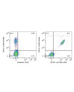 Anti-Human CD42b (AK2) Proteintech  65163-1-Ig
