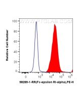 Anti-Mouse FceR1a Rabbit Recombinant Antibody Proteintech  98289-1-RR