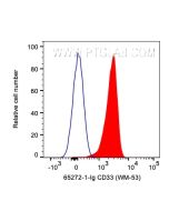 Anti-Human CD33 (WM53) Proteintech  65272-1-Ig