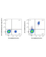 FcZero-rAb? APC Anti-Human CD20 (2H7) Rabbit IgG Recombinant Antibody Proteintech  APC-FcA65575