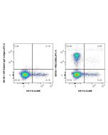 Anti-Pig CD8b Rabbit Recombinant Antibody Proteintech  98700-1-RR