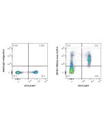 Anti-Human HLA class II Rabbit Recombinant Antibody Proteintech  98748-1-RR