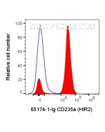 Anti-Human Glycophorin A/CD235a (HIR2) Proteintech  65174-1-Ig