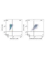 Anti-Human M-CSF (3G12E6) Proteintech  65283-1-Ig