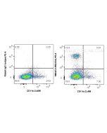 Anti-Guinea Pig CD4 Rabbit Recombinant Antibody Proteintech  98642-3-RR