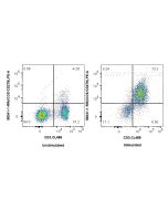 Anti-Mouse ICOS/CD278 Rabbit Recombinant Antibody Proteintech  98341-1-RR
