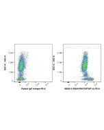 Anti-Human HVEM/TNFRSF14 Rabbit Recombinant Antibody Proteintech  98362-2-RR