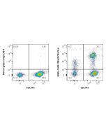 Anti-Human CD8a (OKT8) Mouse IgG2a Recombinant Antibody Proteintech  65604-1-MR
