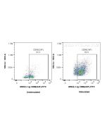 Anti-Rat CD86 (24F) Proteintech  65224-1-Ig