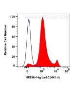 Anti-Mouse Ly-6C (HK1.4) Proteintech  65296-1-Ig