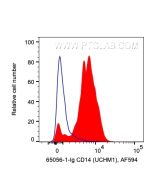 Anti-Human CD14 (UCHM-1) Proteintech  65056-1-Ig