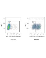 Anti-Human E-selectin/CD62E Rabbit Recombinant Antibody Proteintech  98189-1-RR