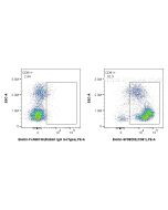 Biotin Anti-Human CD81 Rabbit scFv Antibody Proteintech  Biotin-SF98202