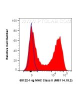 Anti-Mouse MHC Class II (I-A/I-E) (M5/114.15.2) Proteintech  65122-1-Ig