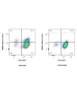 Anti-Mouse IL-31 Rabbit Recombinant Antibody Proteintech  98655-2-RR