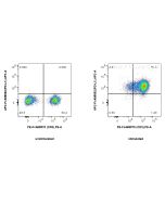 FcZero-rAb? APC Anti-Human PD-L1/CD274 Rabbit Recombinant Antibody Proteintech  APC-FcA98062