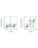Anti-Human TREM-1/CD354 Rabbit Recombinant Antibody Proteintech  98154-1-RR