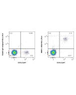 Anti-Human FCRL1 Rabbit Recombinant Antibody Proteintech  98557-1-RR