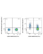 FcZero-rAb? APC Anti-Human ICAM-1/CD54 (15.2) Rabbit IgG Recombinant Antibody Proteintech  APC-FcA65567