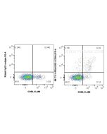 Anti-Human CD94 Rabbit Recombinant Antibody Proteintech  98172-1-RR