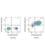 FcZero-rAb? APC Anti-Mouse PD-L1/CD274 Rabbit Recombinant Antibody Proteintech  APC-FcA98166