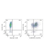 Anti-Human IL-1 beta (2A7C6) Proteintech  65276-1-Ig