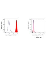 Anti-Human EPCAM/CD326 Rabbit Recombinant Antibody Proteintech  98303-5-RR