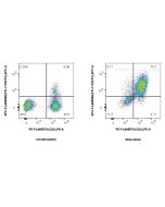 FcZero-rAb? APC Anti-Human PD-1/CD279 (EH12.2H7) Rabbit IgG Recombinant Antibody Proteintech  APC-FcA65586