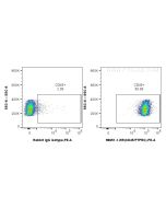 Anti-Rat CD45 Rabbit Recombinant Antibody Proteintech  98651-1-RR
