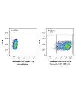 FcZero-rAb? PE Anti-Mouse IL-13RA2 Rabbit Recombinant Antibody Proteintech  PE-FcA98407-3
