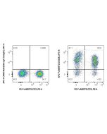 FcZero-rAb? APC Anti-Human CD226 (11A8) Rabbit IgG Recombinant Antibody Proteintech  APC-FcA65573