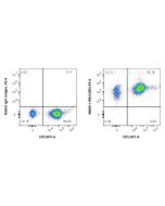 Anti-Human CD59 Rabbit Recombinant Antibody Proteintech  98099-1-RR