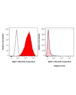 Anti-Mouse PDGFR beta/CD140b Rabbit Recombinant Antibody Proteintech  98207-1-RR