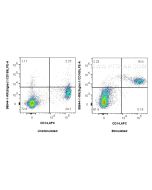 Anti-Human CD169 Rabbit Recombinant Antibody Proteintech  98644-1-RR