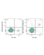Anti-Mouse CD314/NKG2D Rabbit Recombinant Antibody Proteintech  98481-2-RR