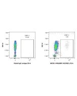 Anti-Human EMR1 Rabbit Recombinant Antibody Proteintech  98330-3-RR