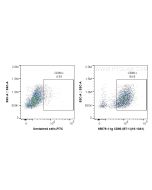 Anti-Mouse CD80 (16-10A1) Proteintech  65076-1-Ig