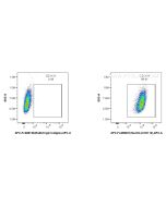 FcZero-rAb? APC Anti-Mouse Nectin-2/CD112 Rabbit Recombinant Antibody Proteintech  APC-FcA98231