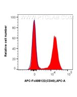 FcZero-rAb? APC Anti-Mouse CD40 Rabbit Recombinant Antibody Proteintech  APC-FcA98122