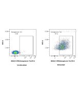Anti-Human SEMA7A Rabbit Recombinant Antibody Proteintech  98324-3-RR