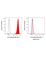 FcZero-rAb? APC Anti-Human CD90 Rabbit Recombinant Antibody Proteintech  APC-FcA98126