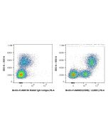 FcZero-rAb? Biotin Anti-Human CD85j / LILRB1 (GHI/75) Rabbit IgG Recombinant Antibody Proteintech  Biotin-FcA65623