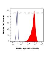 Anti-Mouse CD90.2 (30-H12) Proteintech  65088-1-Ig