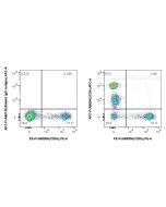 FcZero-rAb? APC Anti-Human CD4 Rabbit Recombinant Antibody Proteintech  APC-FcA98042