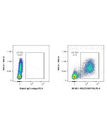 Anti-Human CD155/PVR Rabbit Recombinant Antibody Proteintech  98186-1-RR