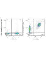 Anti-Mouse BTLA/CD272 Rabbit Recombinant Antibody Proteintech  98246-2-RR