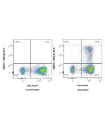 Anti-Human IL-2 Rabbit Recombinant Antibody Proteintech  98053-1-RR