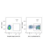 Anti-Mouse CD24 (M1/69) Proteintech  65121-1-Ig